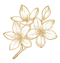 JASMIN